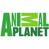Animal Planet Hd Latino